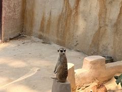 -海南槟榔谷黎苗文化旅游区
