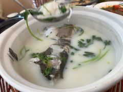 -紫藤园·天目湖大鱼头(南山竹海店)