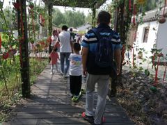 -溱湖国家湿地公园