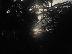 -野狸岛