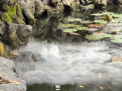 -苏州文旅花间堂·探花府酒店