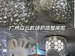 -广州白云国际机场-T2航站楼