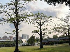 -紫马岭公园