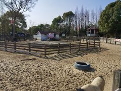 -田园东方蜜桃村的田野营地