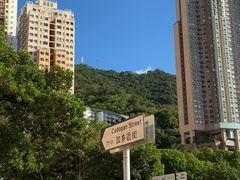 -香港大学