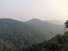 -南山植物园