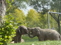 -北京野生动物园