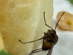 -里面·Noodlology(机电院店)