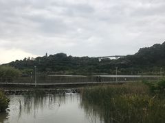 -飞凤山奥体公园