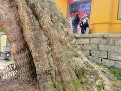 -无锡惠山寺