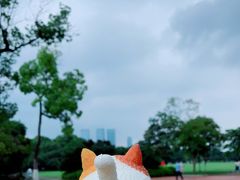 -橘子洲景区