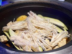 -挂雪铁锅炖大鹅