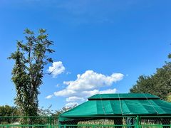 -尚庄度假村·庭台树下·户外烧烤·团建CS·轰趴营地(上庄水库店)