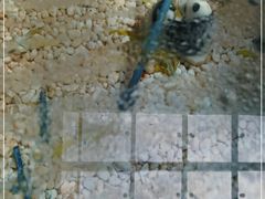 -雅安楠水阁温泉酒店