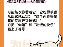 -睿金宠物医院·CT·肿瘤·骨外科