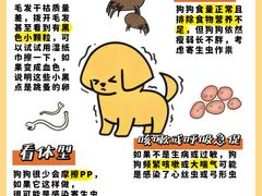 -立德动物医院·24小时中心(番禺区院区)