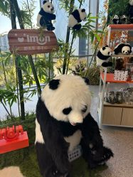 -IMON·HANSA潮玩玩偶毛绒玩具(通州万象汇店)