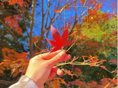 -国家植物园南园