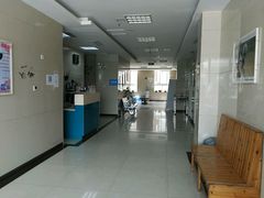 -康旭宠物医院(郑州总院)