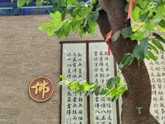 -兴教寺