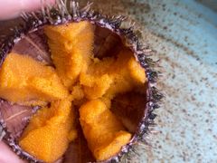 -普朗姆生蚝牛排馆 The Plump Oyster(成都摩方购物中心店)