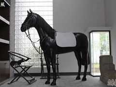 -松声马术俱乐部