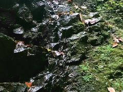 -藏龙百瀑风景区