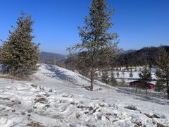 -鳌山滑雪度假区