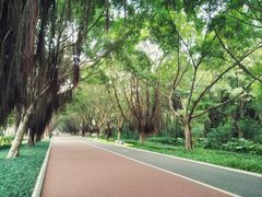 景点-南宁南湖公园