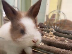 -龙猫仔乐园(惠福东路店)