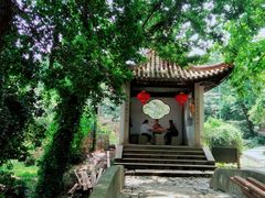 -雨花胜境