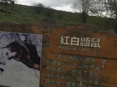 -硗碛藏寨·神木垒景区