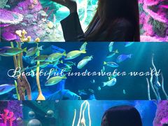 -沈阳海洋探索中心