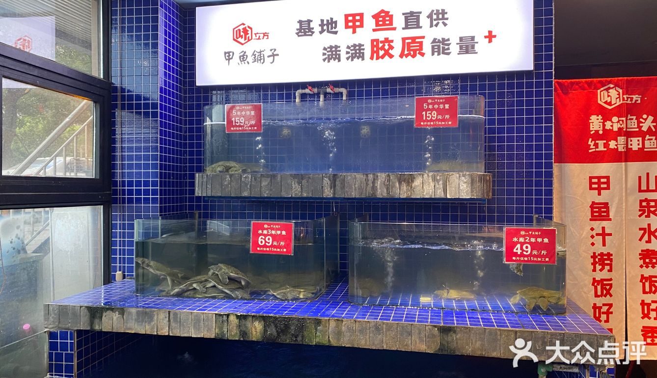 味立方甲鱼铺子