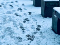 -唐城墙遗址公园