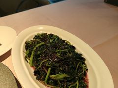 -芙蓉堂(武汉天地店)