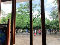 -MAP CHA普洱茶馆(翠湖店)