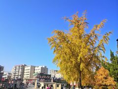 -大连理工大学(凌水校区)