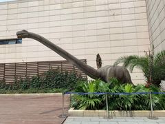 -湖南省地质博物馆