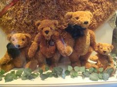 -济州岛泰迪熊博物馆