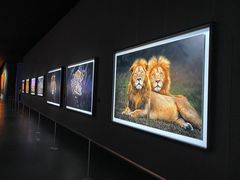 -罗红摄影艺术馆