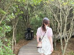 -大罗山风景区