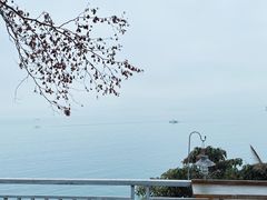 -Brew Farm·精酿农场海滨悬崖餐厅