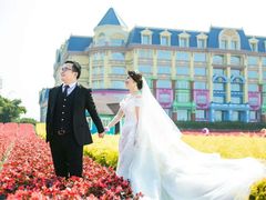 -百万葵园