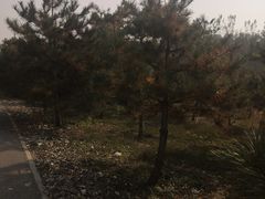 -东郊湿地公园