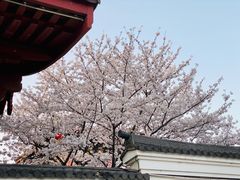 -吾介小籠館
