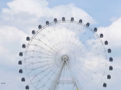 -峡谷浮石林景区