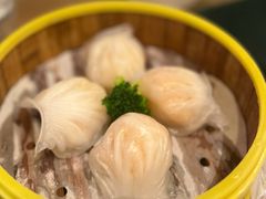 水晶鲜虾饺-香港新曜记茶餐厅(星耀城店)