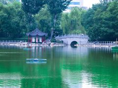 -莲湖公园