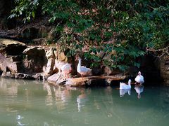 -兰亭风景区